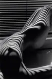 Lucien Clergue, Zebra Nude, New York, 1997, Gelatin silver print, printed 2010