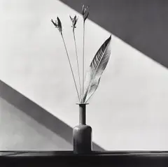 Flowers by Robert Mapplethorpe, 1982, Gelatin silver print, sold Apr 2022