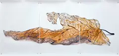 Black Pulse #13 by Doug Starn and Mike Starn, 2001, Chromogenic print triptych with metallic push pins, sold Apr 2022