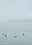 Catherine Opie, Surfers