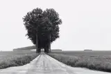 Brie, France by Henri Cartier-Bresson, 1968, Gelatin silver print, printed later, sold Apr 2022