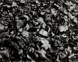Chicago by Harry Callahan, circa 1949, Gelatin silver print, printed later, offered Apr 2022