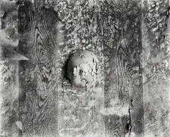 Medallion by Frederick Sommer, 1948, Gelatin silver print, offered Apr 2022