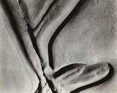 Eroded Rock by Edward Weston, 1929, Gelatin silver print, offered Apr 2022