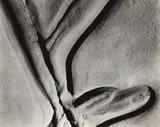 Eroded Rock by Edward Weston, 1929, Gelatin silver print, offered Apr 2022