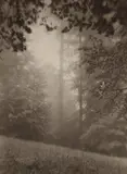 Josef Sudek, Untitled from Vanished Statues, A Walk in Mionší Forest, 1955-1970, Toned gelatin silver print, probably printed in the early 1970s