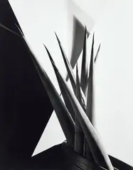 Agave Design I by Imogen Cunningham, 1920, Gelatin silver print, printed later, sold Apr 2022