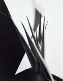 Imogen Cunningham, Agave Design I, 1920, Gelatin silver print, printed later