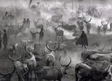 Dinka Cattle Camp of Amak, Southern Sudan by Sebastião Salgado, 2006, Gelatin silver print, printed later, offered Apr 2022