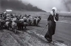 Shepherd and sheep, Kuwait by Sebastião Salgado, 1991, Gelatin silver print, printed later, sold Apr 2022
