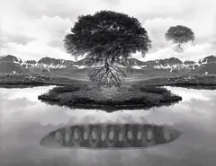 Jerry Uelsmann, Untitled (floating trees), 1969, Gelatin silver print