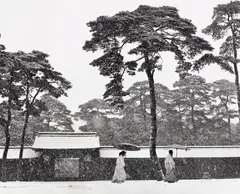 In the Court of the Meiji Temple, Tokyo, Japan by Werner Bischof, 1952, Gelatin silver print, printed posthumously, sold Apr 2022