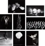 Harold Eugene Edgerton, Selected Images