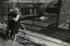 New York by Garry Winogrand, circa 1962, Gelatin silver print, printed 1960s or early 1970s, offered Oct 2022
