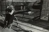 Garry Winogrand, New York