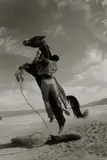 Ernst Haas, Leaping Horse, 'The Misfits,' Nevada