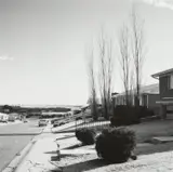 Robert Adams, Colorado Springs, Colorado