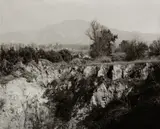 Robert Adams, Eroding edge of an abandoned citrus growing estate, East Highlands, California