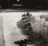 Robert Adams, Longmont, Colorado