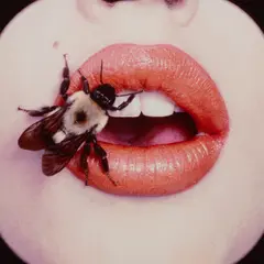 Bee (A), New York, September by Irving Penn, 1995, Dye destruction print, offered Oct 2022