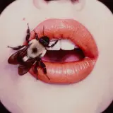 Irving Penn, Bee (A), New York, September
