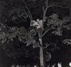 Untitled (boys in trees) by Weegee, n.d., Gelatin silver print, sold Oct 2022