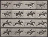 Eadweard Muybridge, Motion Study, Horse and Rider, 1880s, Collotype, Plate 626 from Animal Locomotion: An Electro-Photographic Investigation of Consecutive Phases of Animal Movements