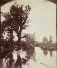 La Ferté Alais (Etang) by Eugène Atget, 1910, Albumen print, sold Oct 2022