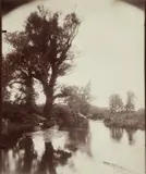 Eugène Atget, La Ferté Alais (Etang), 1910, Albumen print