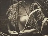 Manuel Álvarez Bravo, Fruta prohibida (Forbidden fruit)