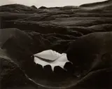 Edward Weston, Shell and Rock - Arrangement