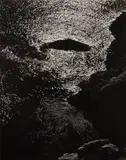 Edward Weston, Kelp, China Cove, Point Lobos