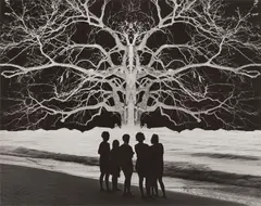 Apocalypse II by Jerry Uelsmann, 1967, Gelatin silver print, sold Oct 2022