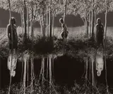 Jerry Uelsmann, Small Woods Where I Met Myself (Final Version)