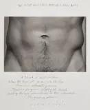 LaToya Ruby Frazier, The Most Beautiful Part of a Man's Body
