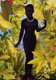 Ruud van Empel, Venus #2