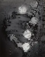 Beginnings by Minor White, 1962, Gelatin silver print, sold Oct 2022