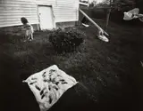 Sally Mann, Drying Morels, 1988, Gelatin silver print
