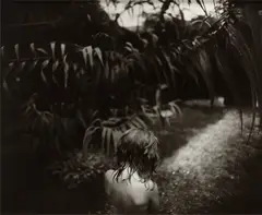 Arundo Donax by Sally Mann, 1988, Gelatin silver print, flush-mounted, offered Oct 2022