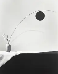 Flower by Robert Mapplethorpe, 1983, Gelatin silver print, sold Oct 2022