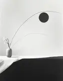 Flower by Robert Mapplethorpe, 1983, Gelatin silver print, sold Oct 2022