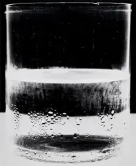 Amanda Means, Water Glass 2, 2004, Gelatin silver print