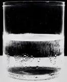 Amanda Means, Water Glass 2, 2004, Gelatin silver print