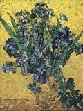 Irises, after van Gogh from Pictures of Magazines by Vik Muniz, 2004, Chromogenic print, sold Oct 2022