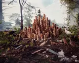 Untitled by Gregory Crewdson, 1998, Chromogenic print, sold Oct 2022