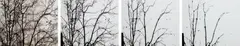 Uta Barth, Untitled (02.2), 2002, Four archival pigment prints, face-mounted to Plexiglas and flush-mounted