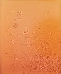 Adam Fuss, Untitled, 1996, Unique dye destruction photogram