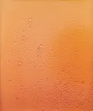Adam Fuss, Untitled