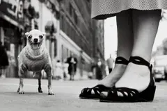 New York City by Elliott Erwitt, 1946, Gelatin silver print, printed later, offered Mar 2022