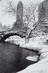 Alfred Eisenstaedt, Central Park after a snowstorm, New York, 1959, Gelatin silver print, printed 1990